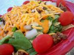 Canadian Quick and Easy Taco Salad 1 Dinner