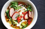 American Udon Noodle And Peking Duck Soup Bowl Recipe Dinner