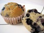 American Very Simple Blueberry Muffins Dessert