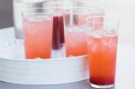 Canadian Raspberry Cordial Recipe Appetizer