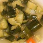 American Soup of Zucchini and Carrots Appetizer