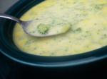 American Simply Perfect Cream of Broccoli Soup Appetizer