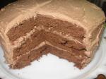 Canadian Decadent Chocolatelemon Ganache Cake Dessert