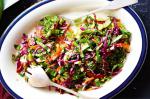 American Fivevegie Slaw With Lime And Sesame Recipe Appetizer
