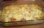 American Southern Chicken Noodle Casserole Dinner