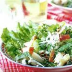 American Endive Salad with Apples Appetizer