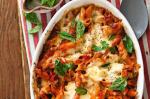 American Onedish Herb And Cheese Pasta Bake Recipe Appetizer