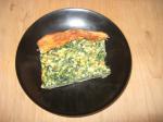 American Spinach Cheese Pie 9 Appetizer