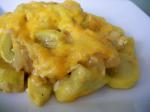 Mexican Better Squash Casserole no Bread Crumbs Crackers or Stuffing Dinner