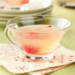 American Alloccasion Punch Appetizer