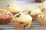 American Blueberry Cream Cheese Muffins Recipe 1 Dessert