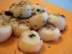 American Coquilles St Jacques a La Provencale  Scallops With Garlic Appetizer