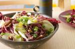 American Apple Walnut And Radicchio Salad Recipe Appetizer