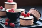American Raspberry Marshmallow Wagon Wheels Recipe Dessert