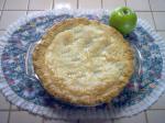 American Apple Filling for Pies Dessert