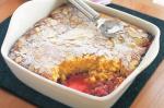 American Rhubarb and Apple Pudding Recipe Dessert