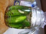 Israeli/Jewish East Side New York Halfsour Pickles Appetizer