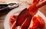 American Basic Steamed Lobster Recipe Appetizer