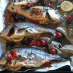 American Gilthead Bream in Oven with Olives and Tomatoes Appetizer