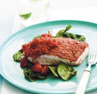 Canadian Grilled Snapper with Spicy Tomato Sauce Appetizer
