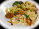 Swiss Ham Noodle and Swiss Cheese Casserole Appetizer
