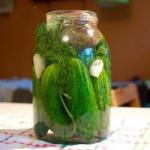 American Cucumbers Malosolne Appetizer