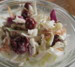 American Quick Cranberry Coleslaw Appetizer