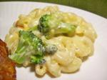 American Macaroni and Broccoli Casserole Dinner