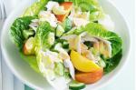 American Poached Chicken Salad Recipe Appetizer