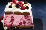 American Chocraspberry Icecream Cake Recipe Dessert