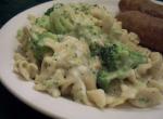 American Broccoli and Noodles Supreme 1 Appetizer