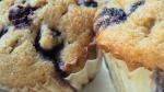 American Blueberry Cream Muffins Recipe Dessert