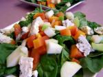 American Spinachapple Salad With Roquefort Cheese Dinner