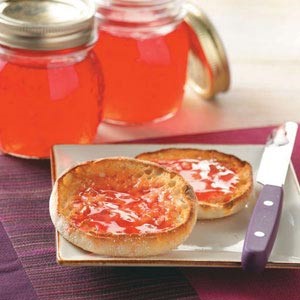 American Wild Plum Jelly Appetizer