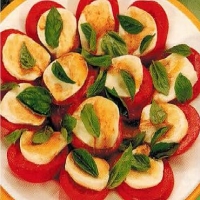 Italian Tomato And Bocconcini Salad Appetizer