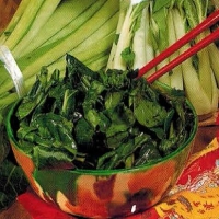 Chinese Chinese Vegetables Appetizer