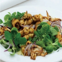 American Calamari Salad with Mint and Dill Appetizer