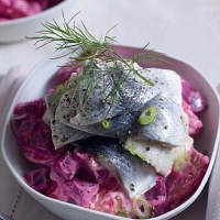 American Herring Salad with Potatoes and Beets Appetizer