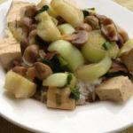 American Pak Choi with Tofu and Mushrooms from the Wok Appetizer