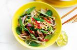 American Sichuan Beef Noodle Salad Recipe Appetizer