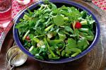 Iranian/Persian Persian Herb Salad Recipe Appetizer