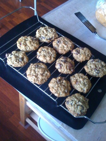 American Holiday Oatmeal Cookies 1 Dessert