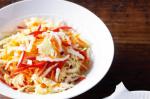 Chinese Asian Coleslaw Recipe 9 Appetizer