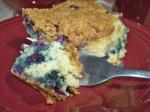 American Blueberry Crumb Buckle Dessert