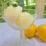 Italian Lemon Sorbet Recipe Dessert