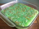 American Lime Jello Cabbage Salad Appetizer