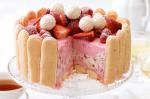 American Vanilla Raspberry Icecream Cake Recipe Dessert