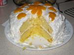 Chinese Mandarin Orange Cake 17 Appetizer