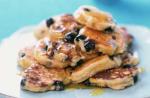 American Blueberry Scotch Pancakes Breakfast