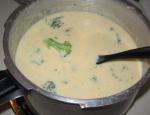 American Cheese and Broccoli Soup 4 Appetizer